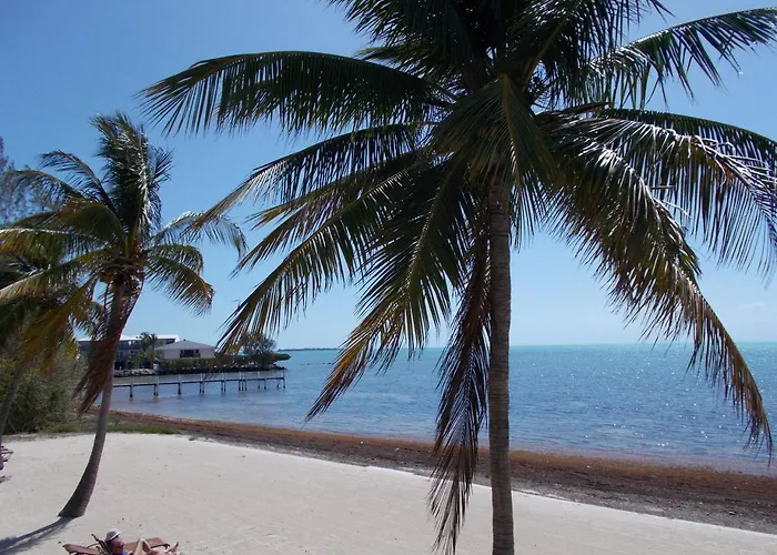 De Bedste 15 Familiehoteller i Islamorada i 2026